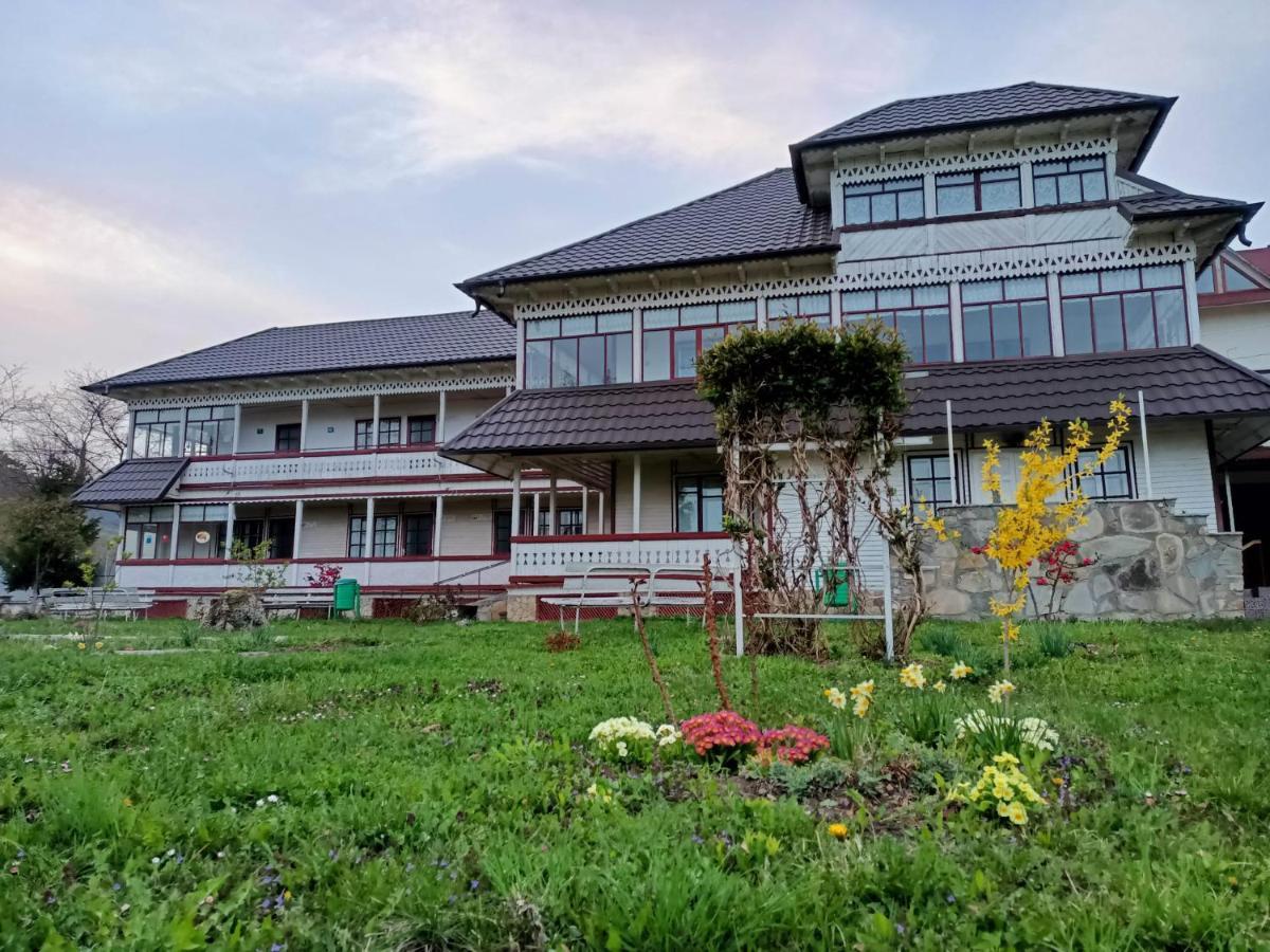Padurea De Argint Villa Varatec Bagian luar foto