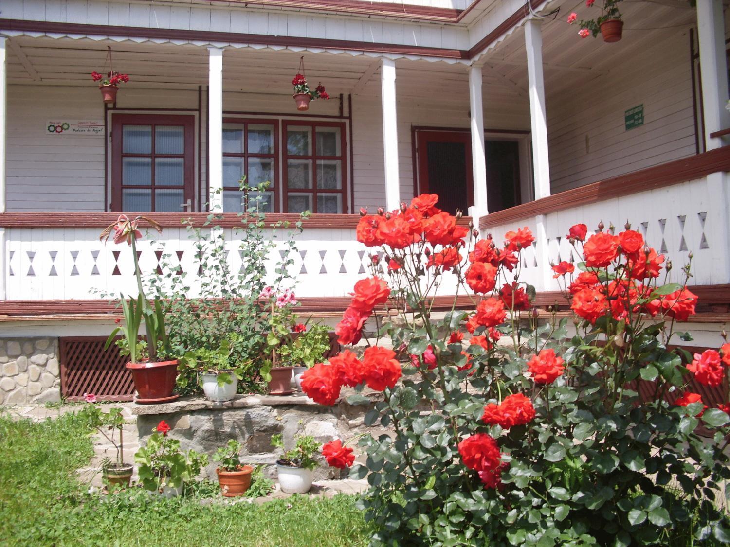 Padurea De Argint Villa Varatec Bagian luar foto