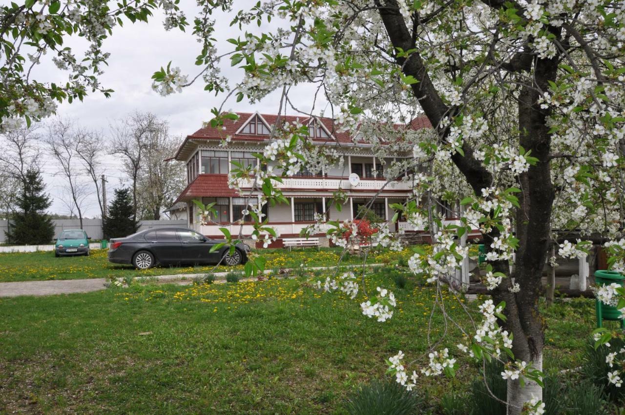 Padurea De Argint Villa Varatec Bagian luar foto